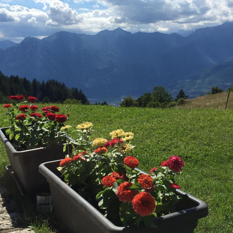 منزل الضيف آركو  في Trentino In Malga: Malga Zanga المظهر الخارجي الصورة